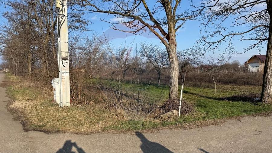 Teren 2,300mp Petresti / Strada Lacramioarei - 4