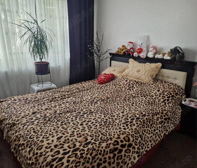 Persoana fizica, apartament de vanzare. zona han - 4