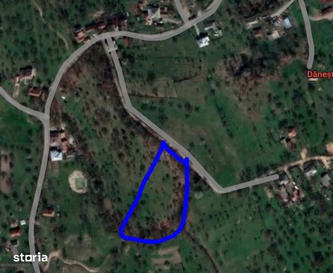 Teren-Panorama Deosebita-Danesti-Zona Secret Garden, 61ari - 1
