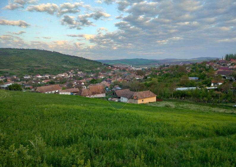 Teren intravilan Tarnaveni - 7