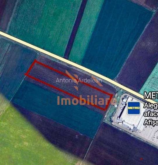 TEREN INTRAVILAN INVESTITIE 20.500 MP ARAD