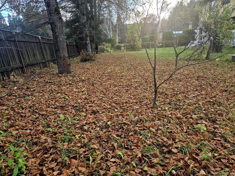 Casa de vacanta Timisu de Sus/Brasov/Oportunitate investitie - 16