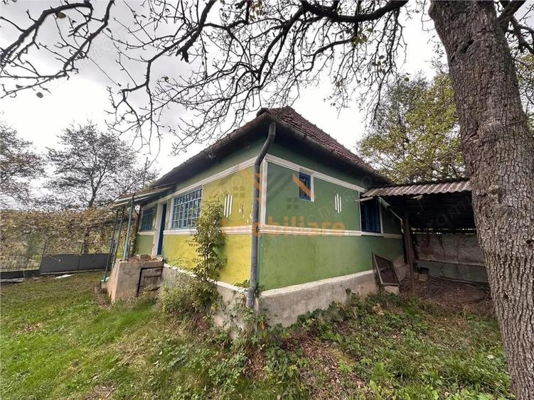 TEREN | 9341 MP | BALNACA GROSI | BIHOR - 1