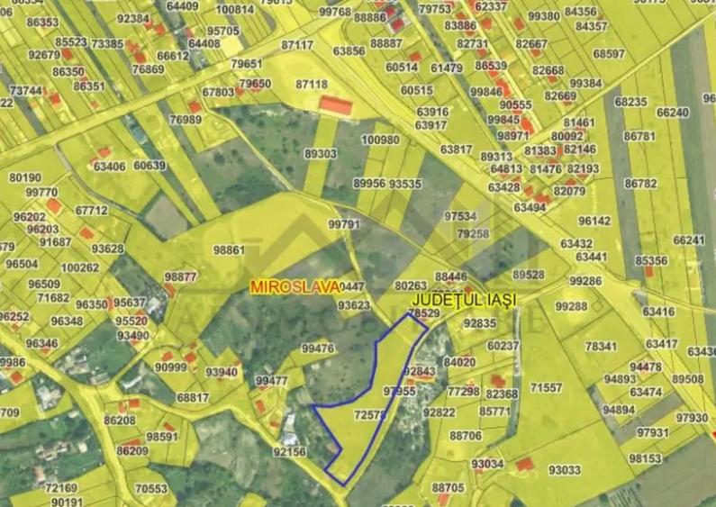 Ciurbesti zona Bisericii TEREN 7000mp intravilan cu utilitat - 2