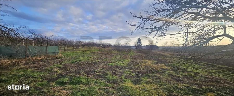 RECO. Teren intravilan de vanzare in Cetariu - 1