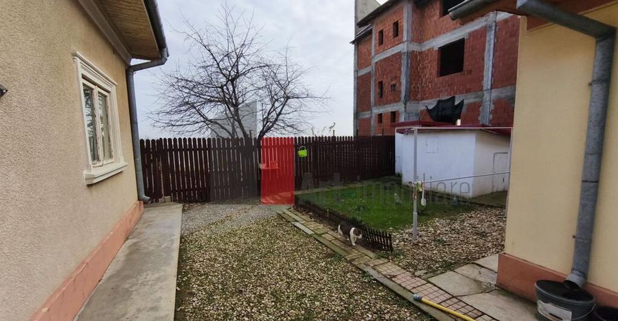 Casa curte cu teren 1600 mp Manolache - 13