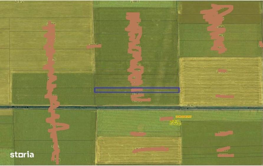 Cota 1/2 teren extravilan. Loc. Dor Marunt, Jud. Calarasi - 2
