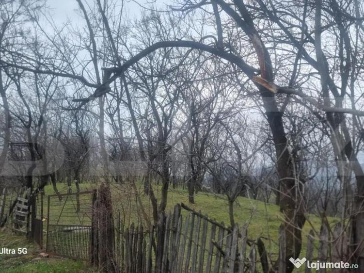 TEREN INTRAVILAN VEDERE PANORAMICA La 2 km de Manastirea CRA - 10