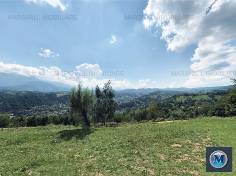 Teren intravilan de vanzare in Bran, 24000 mp #16561 - 1