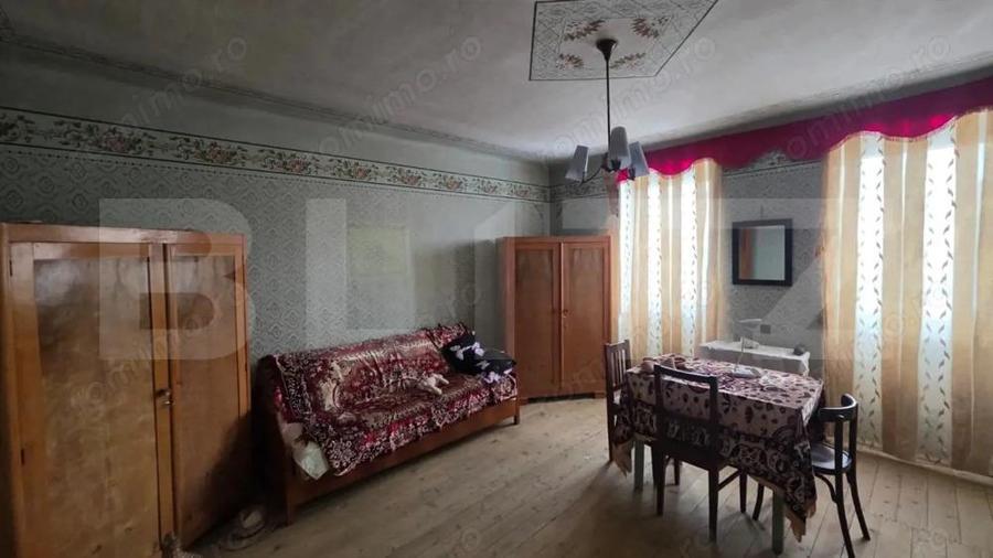 Casa cu teren 32 ari Viile Tecii, la 30 km de Bistri?a - 6