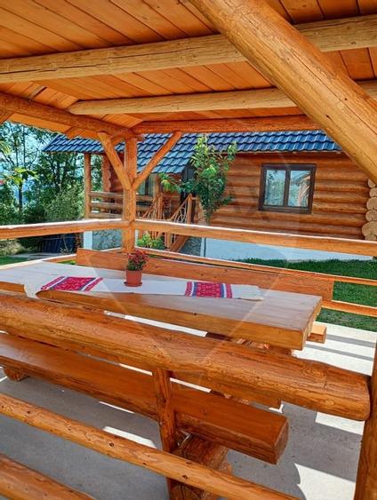 Proprietate cu Potential Triplu..LOCUINTA,INVESTITIE,TURISM!! - 29