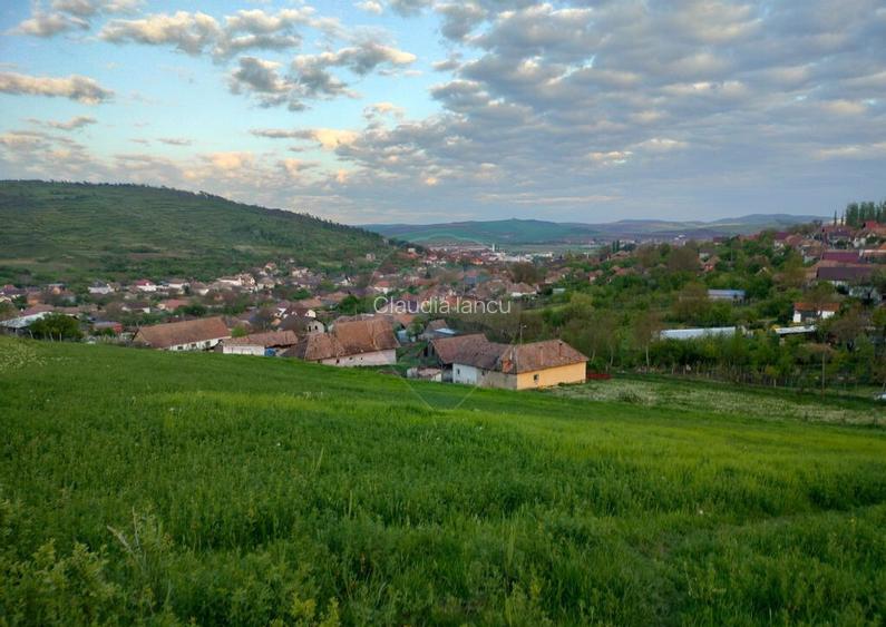 Teren intravilan Tarnaveni Teren intravilan Tarnaveni