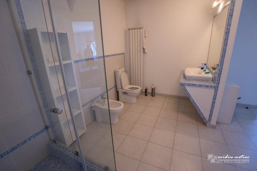 Hale cu deschidere la drumul european - 18