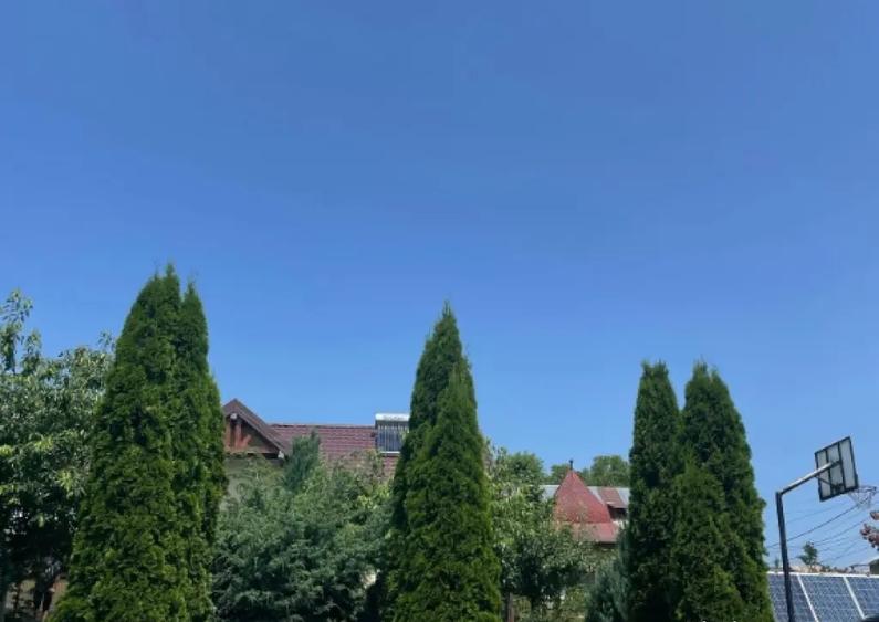 vand vila baicoi - 5