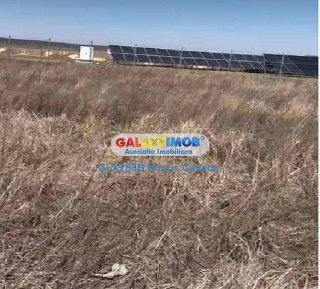 Tartasesti Dambovita vanzare teren 34366 mp - 3