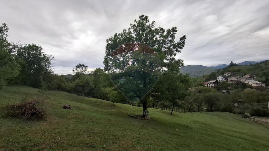 Teren cu priveliste spectaculoasa, 4000mp, la 18km de Sinaia - 10
