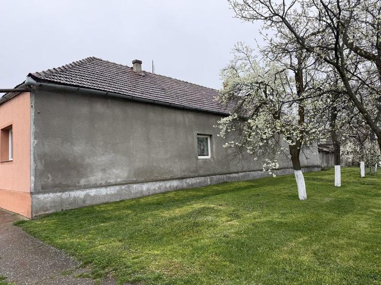 Casa cu anexe de vanzare in Com Frumuseni - 7
