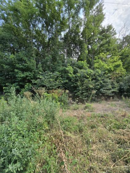 Casa langa Parcul Dendrologic - 17