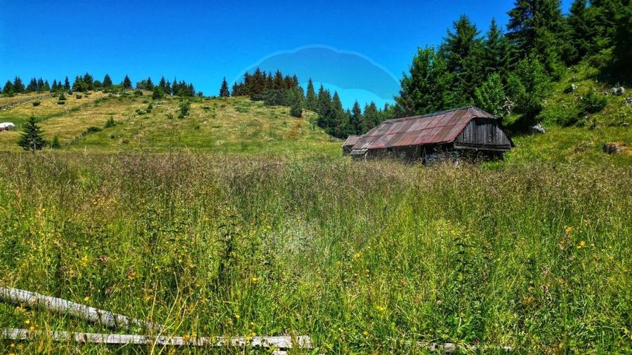 Teren de 7830mp de vanzare in Fundata! Comision 0% - 3