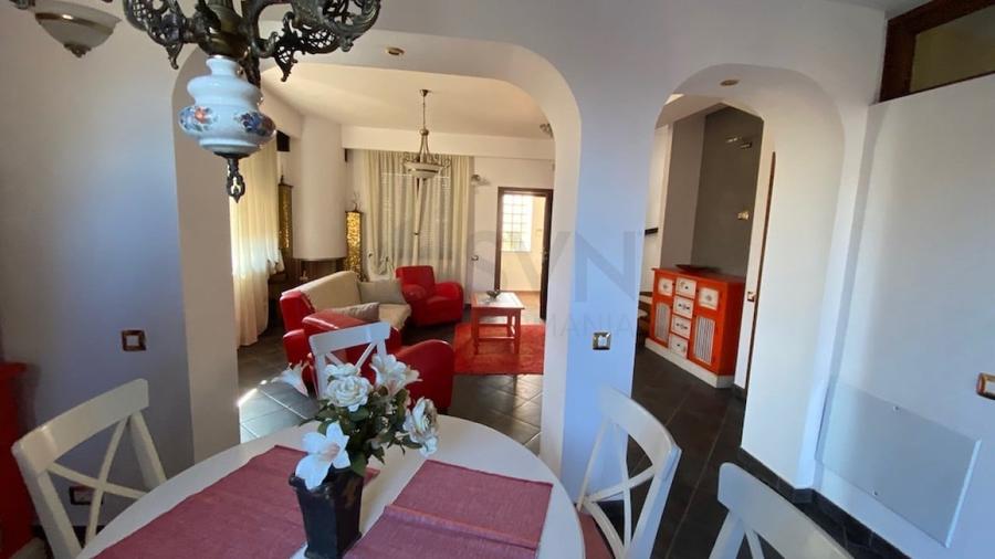 REV2005616 Casa de vacanta - Butimanu - langa lac - 3