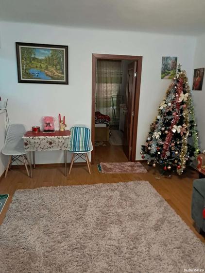 Apartament de vanzare 2 camere 36000 euro negociabil - 3