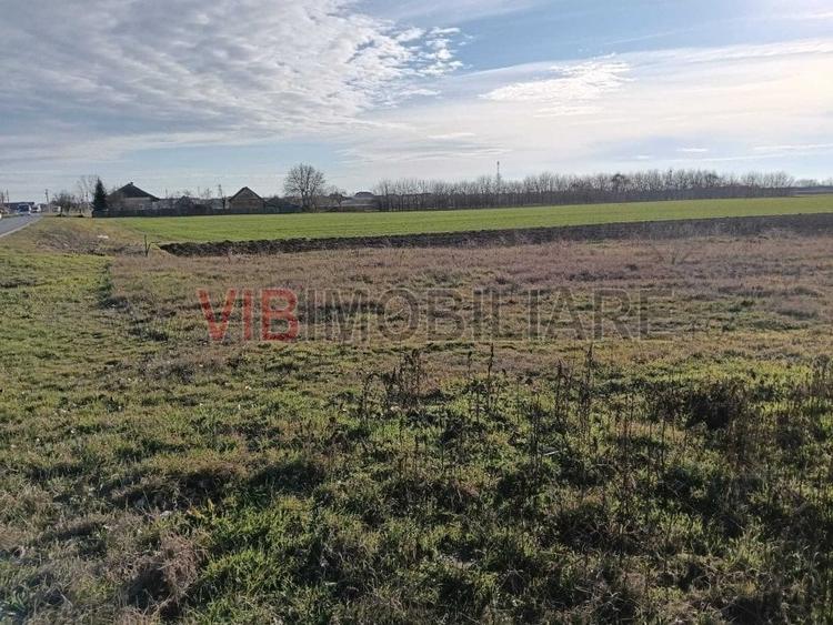 Teren intravilan investitie, urbanism rezidential si dotari, Bucovat - 6