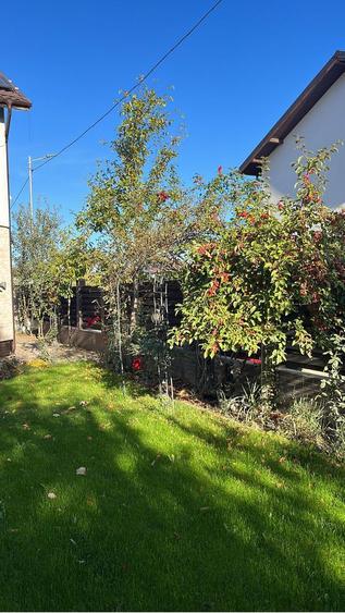 Casa Parter+ Etaj+ Mansarda - 3