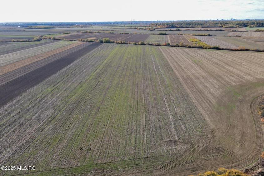 Bucovat - Lot Intravilan 2.27 Ha, PUZ inceput, Rezidential + Servicii! - 1