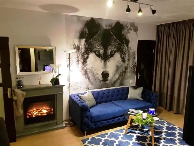 Inchiriem Apartament 2 Camere, Modern, Circular, Astra - 2