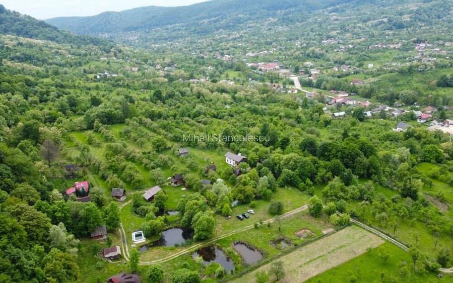 Cabana Bradulet s-a VANDUT