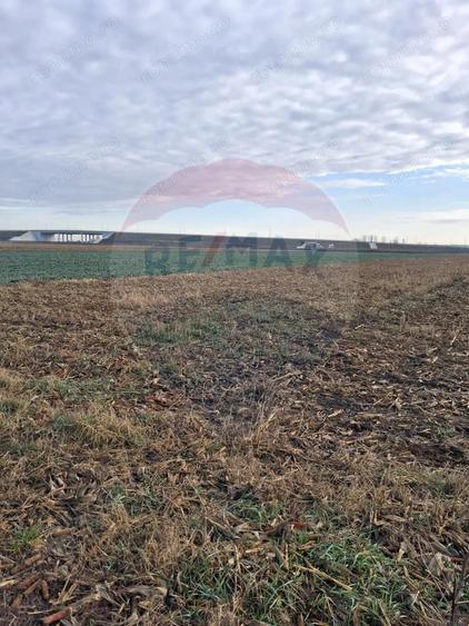 Teren intravilan 3400mp de vanzare la Santion - 4