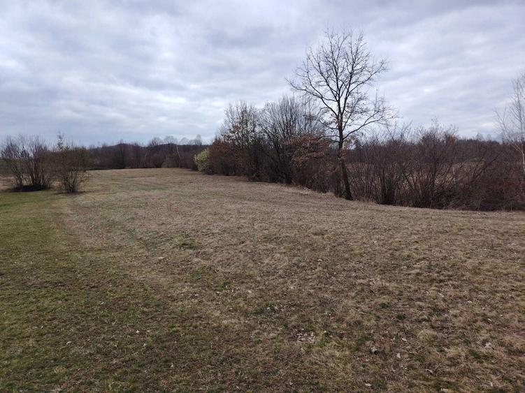 Vanzare Teren Extravilan Sinca Noua - 1