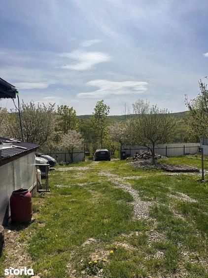 De vanzare casa ?i teren cu suprafata de 13.000mp, 52.000 euro - 13
