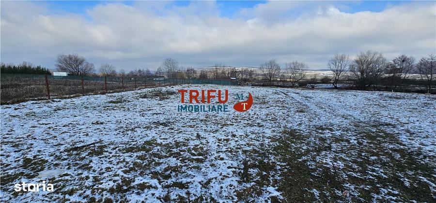 Teren Intravilan Construibil in Mice?ti, Alba Iulia - 3