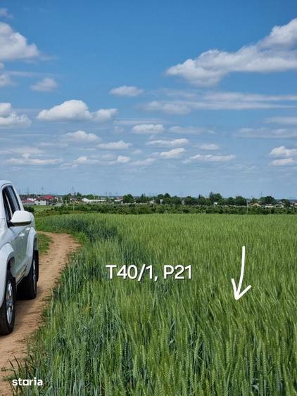 Teren de 33100 mp, în Glina
