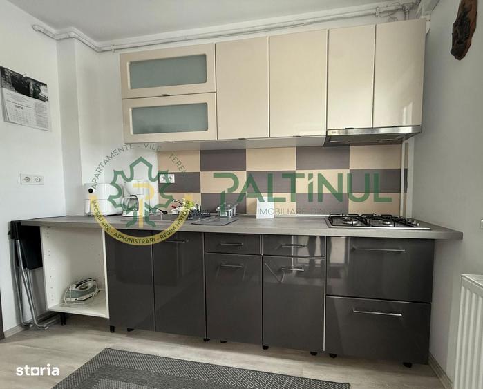 Apartament 1 camera de inchiriat Sibiu - 6