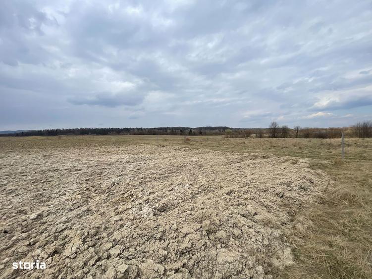 TEREN EXTRAVILAN | 23 ARI | HORODNIC DE SUS - 10