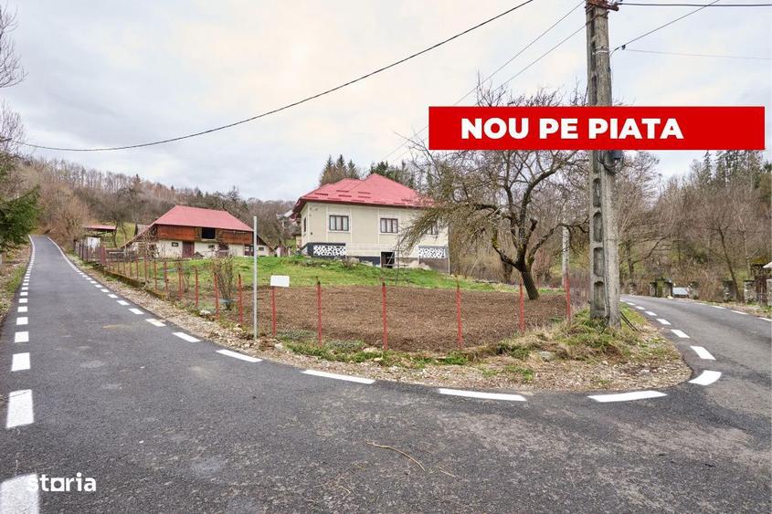 Casa la munte cu teren generos in Com. Nucsoara, loc. Slatina jud. A - 5