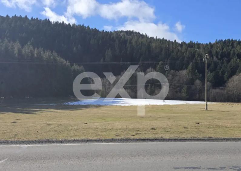 Teren extravilan 19.200 mp DN1A Sacele, Bradet | Front - 6