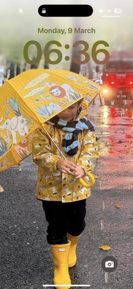 Ciolpani Padurea Snagov - zona Orangerie, Mega Image, Penny - 10