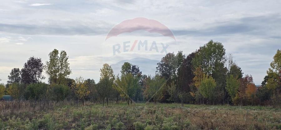 Teren generos cu potential în comuna Silindia, judetul Arad - 2