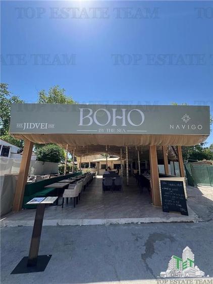 AFACERE LA CHEIE COSTINESTI - 2