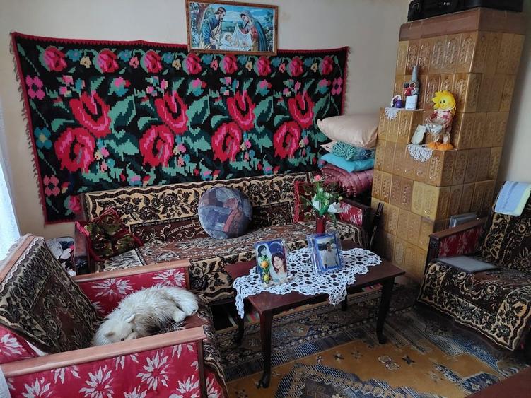 Vand casa de locuit si teren 4000 mp - 8