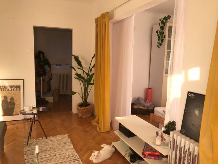 Pache Protopopescu Lirei 2 camere - 4