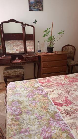 Apartament 2 camere Craiovei, mobilat - 11