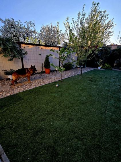 Vand casa zona centrala - 3