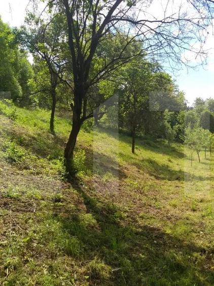 Exclusivist! Teren intravilan de 2800mp cu cascada in Micesti! - 5