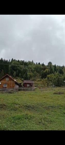 TEREN DORNA ARII - 11