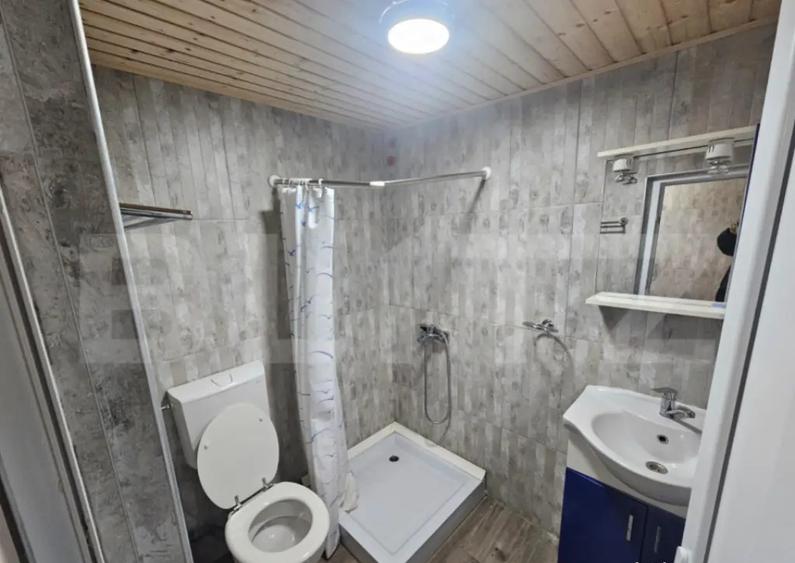 Lini?te, Natura ?i Spa?iu Casa Ideala cu 6 camere, - 7