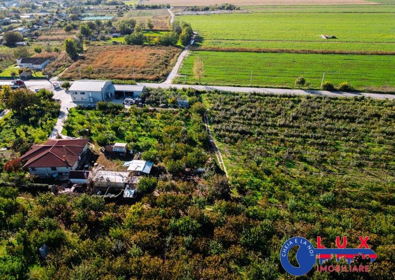 ID 7785 LIVADA SABANGIA DE VANZARE - 18